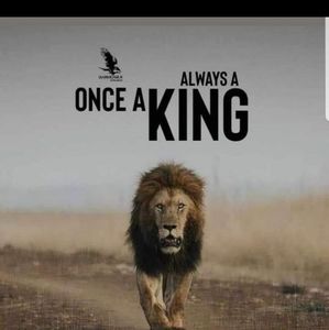 Meet your Posher, Benjamin